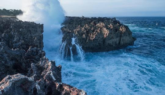 licensed-image (11).jpeg